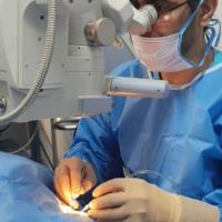 Dr Adel Ghasempour