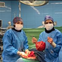 Gynecologist