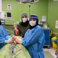 Gynecologist