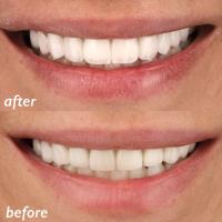 Dentist